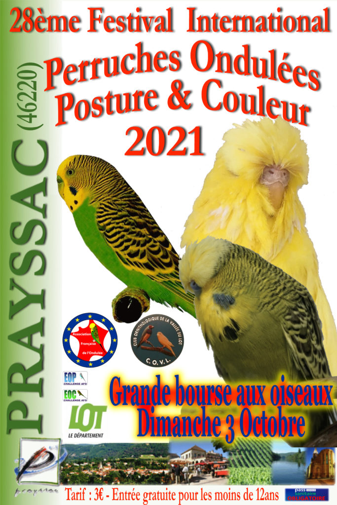 Festival AFO 2021