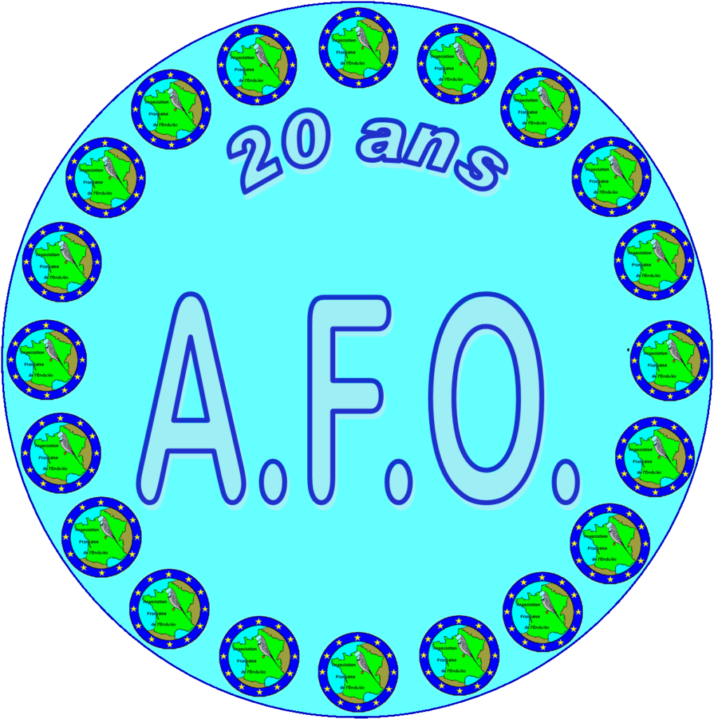 AFO 20 ANS
