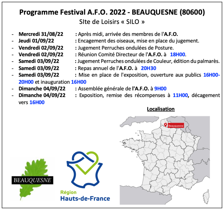 Programme festival AFO 2022
